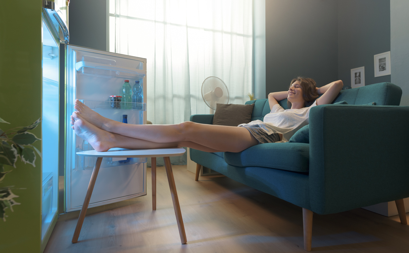  What causes overheating?